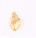 Sea Shell Gold image 0