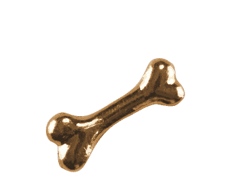 Dog Bone - Plain Gold image 0