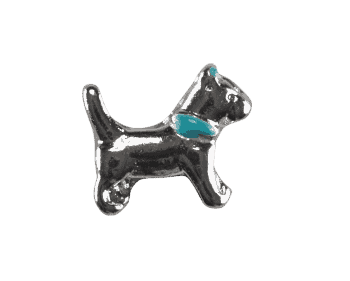 Dog - Blue Collar image 0
