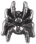 Spider image 0