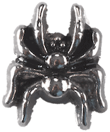 Spider image 0