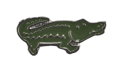 Crocodile - Green image 0