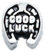 Horseshoe Good Luck image 0