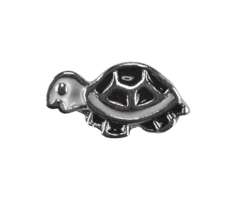 Turtle - White and Black image 0