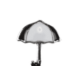 Umbrella image 0