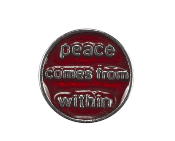 Peace Comes from Within image 0