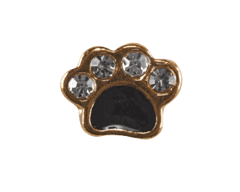 Paw Print - Gold and Black image 0