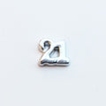 Celebratory Birthday Number 21 - Silver image 0