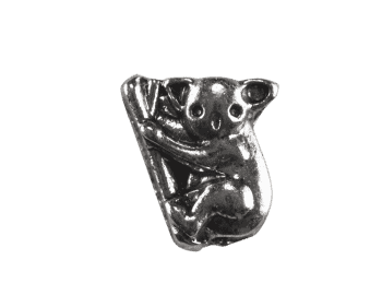 Koala on a Branch image 0