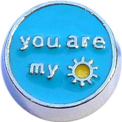 You Are My Sunshine-Disc image 0