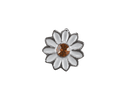 Daisy - White image 0