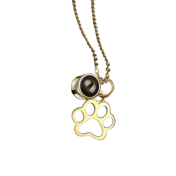 Projection Photo Pet-Paw With Viewing Stone Necklace