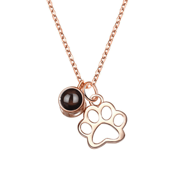 Projection Photo Pet-Paw With Viewing Stone Necklace