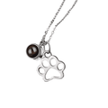 Projection Photo Pet-Paw With Viewing Stone Necklace