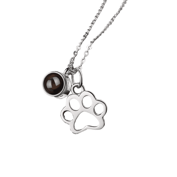 Projection Photo Pet-Paw With Viewing Stone Necklace