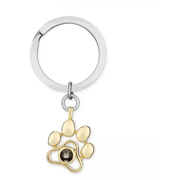 Projection Photo Pet-Paw With Viewing Stone Necklace