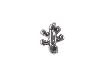 Gecko image 0