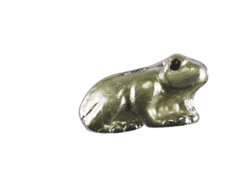 Frog - Green Tree Frog image 0