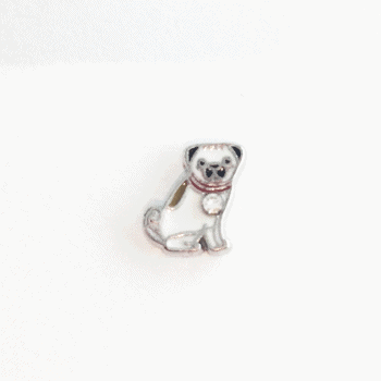 Dog - Pug image 0
