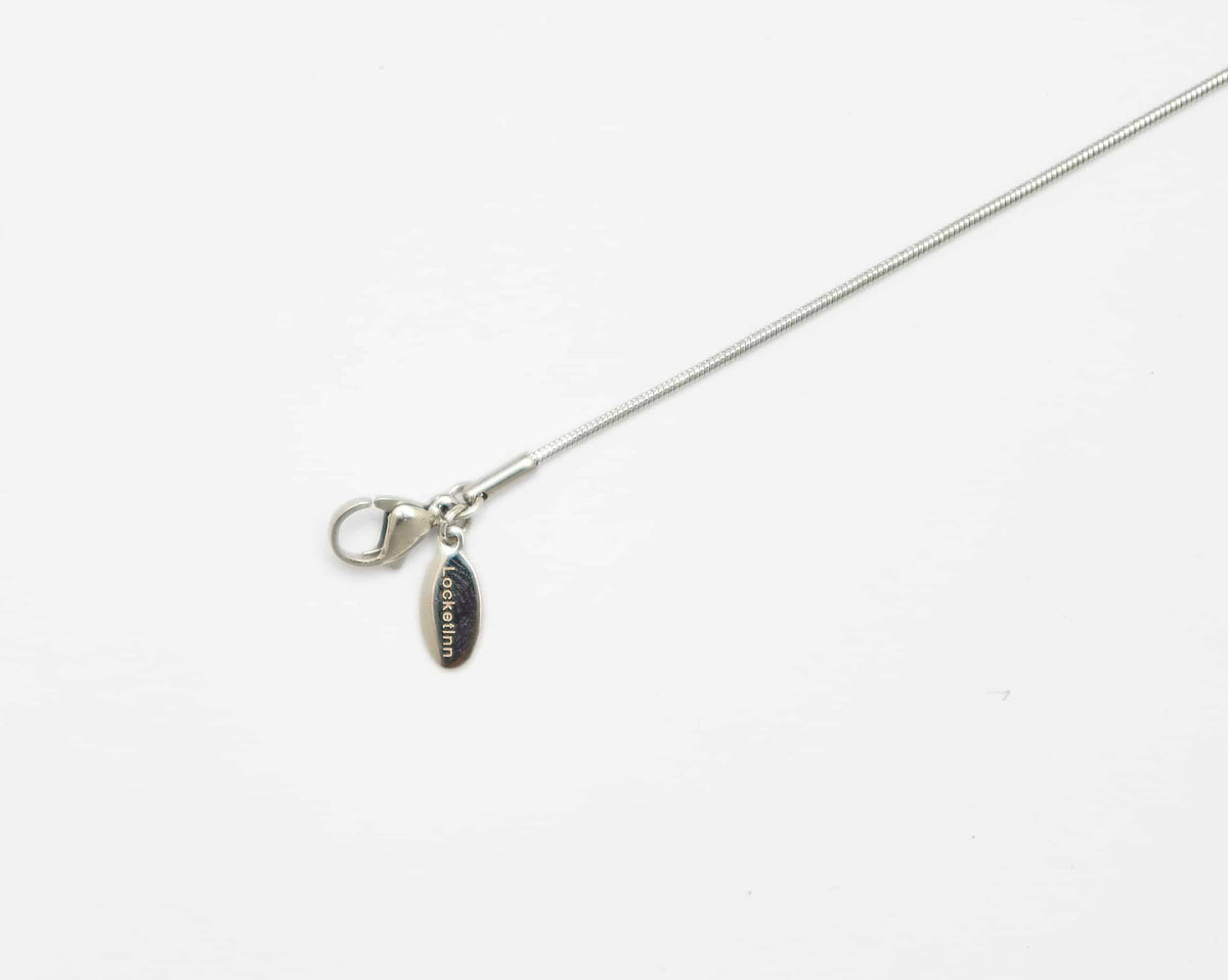 Chain Silver 70cm Snake image 0