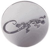 Plate - Lizard image 0