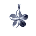 Urn Silver Frangipani image 0