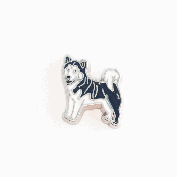 Dog - Husky image 0