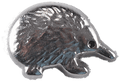 Echidna image 0