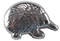 Echidna image 0