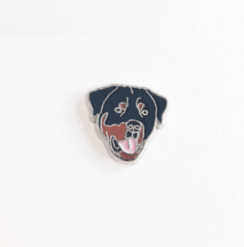 Dog - Rottweiler Head image 0