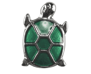 Turtle - Bright Green Shell image 0