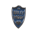 Bully Proof Badge image 0