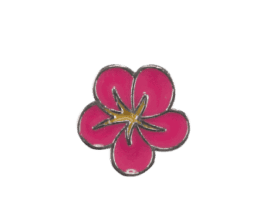 Hibiscus - Pink