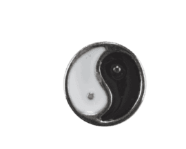 Ying and Yang Disk