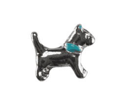 Dog - Blue Collar