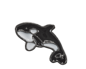 Whale - Black and White