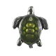 Turtle with Green Shell