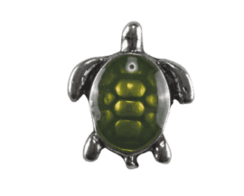 Turtle with Green Shell