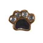 Paw Print - Gold and Black