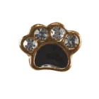 Paw Print - Gold and Black