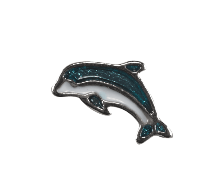 Dolphin - Blue and White