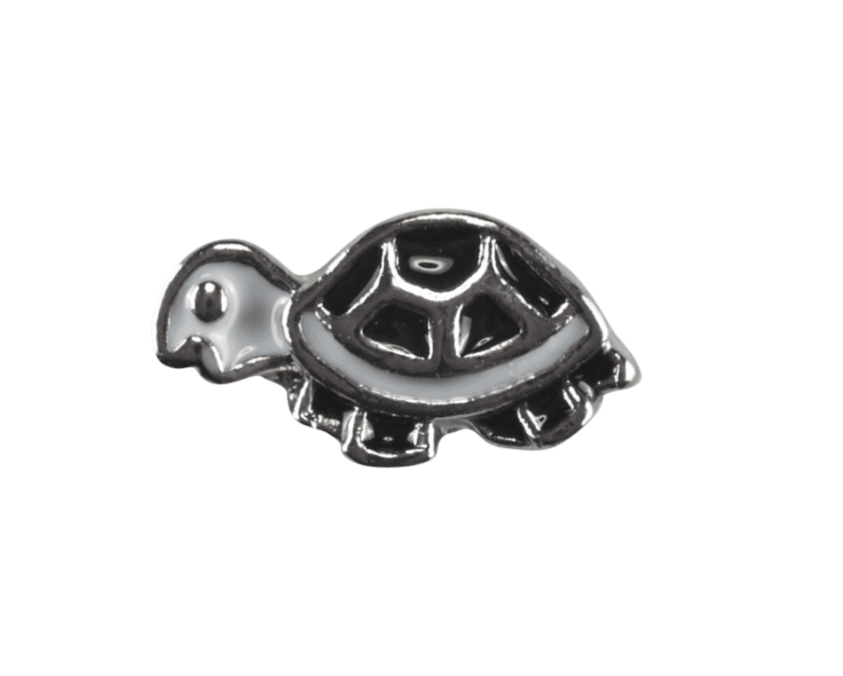 Turtle - Black and White