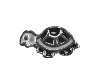 Turtle - Black and White