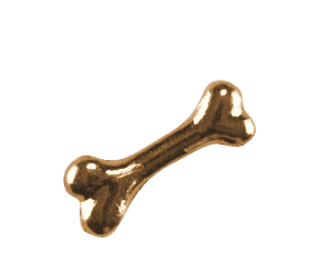 Dog Bone - Plain Gold