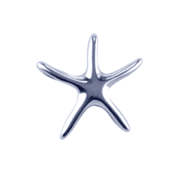 Silver Starfish Urn Jewellery
